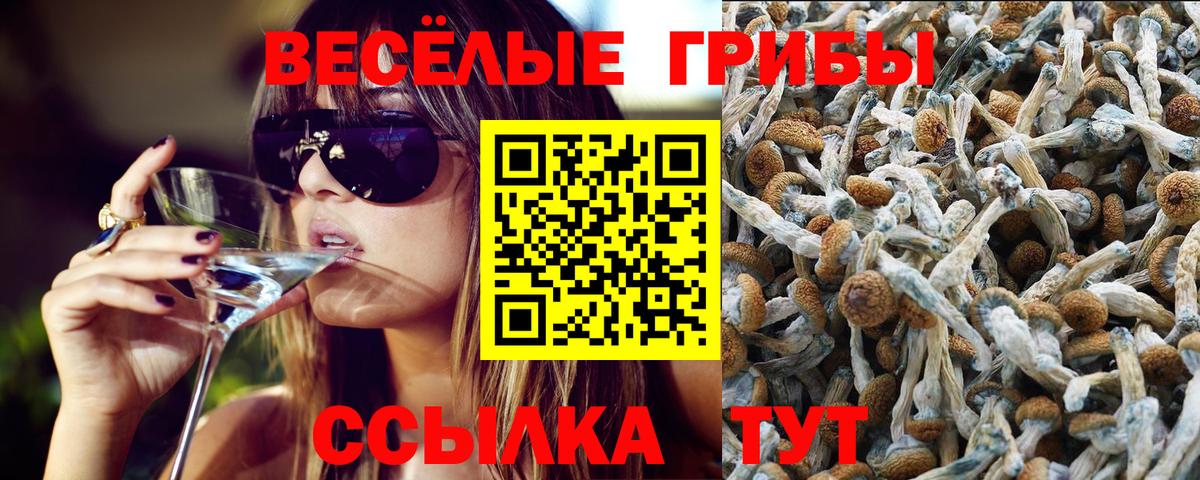 Галлюциногенные грибы GOLDEN TEACHER Усть-Лабинск